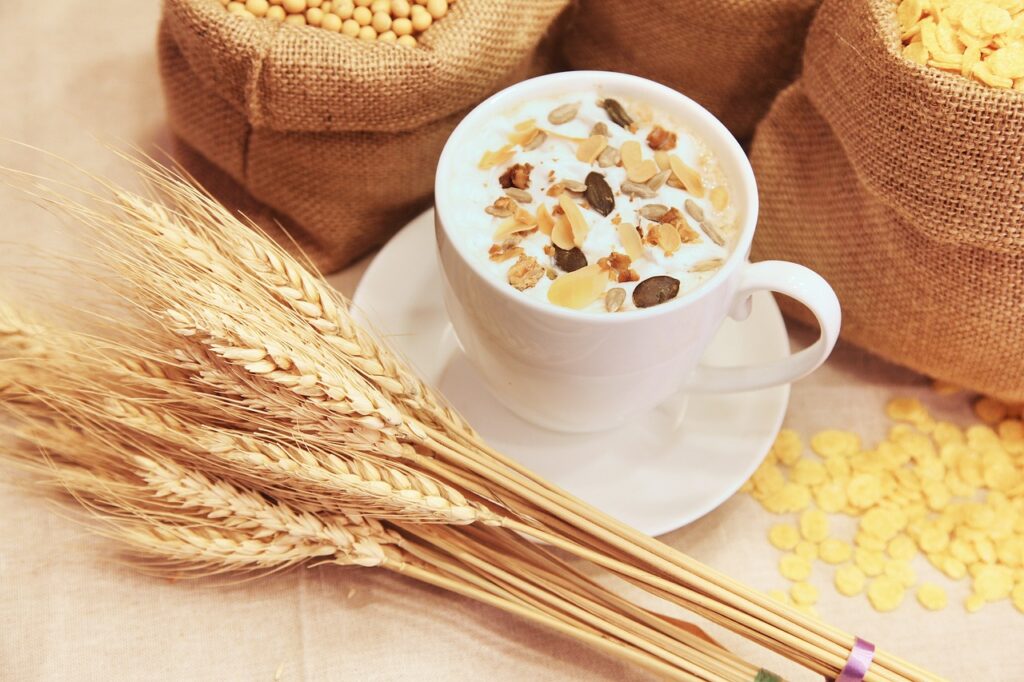 Beneficios de los probióticos en la salud digestiva a largo plazo