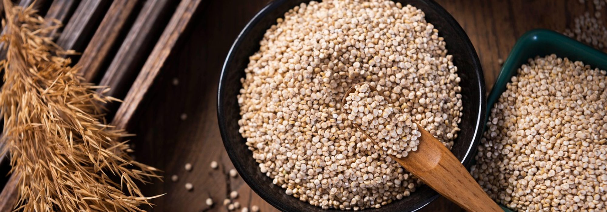 Alimentos funcionales