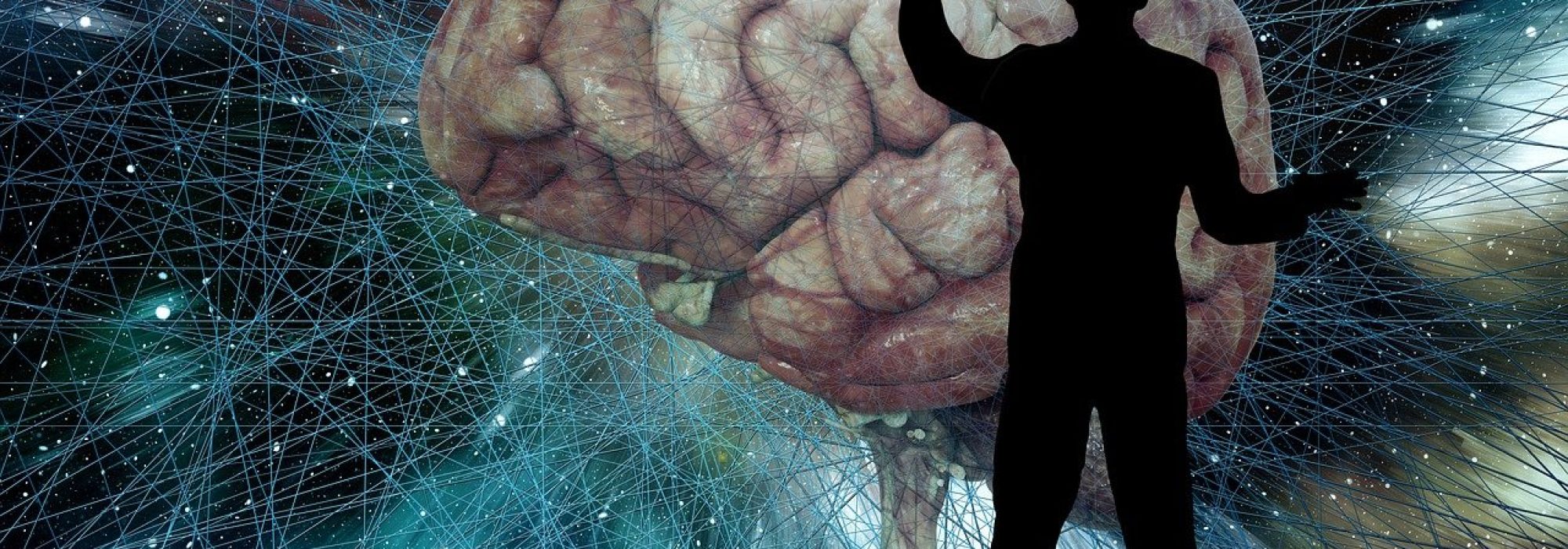 Probióticos y rendimiento cognitivo lo que dice la ciencia