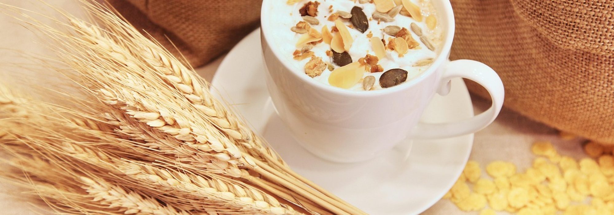 elegir cereales con proteínas y probióticos